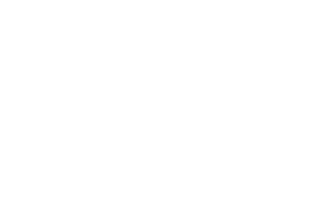 nippon express traducciones mundiales cliente