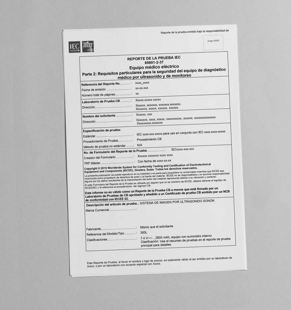 ejemplo traducción profesional técnica - 1